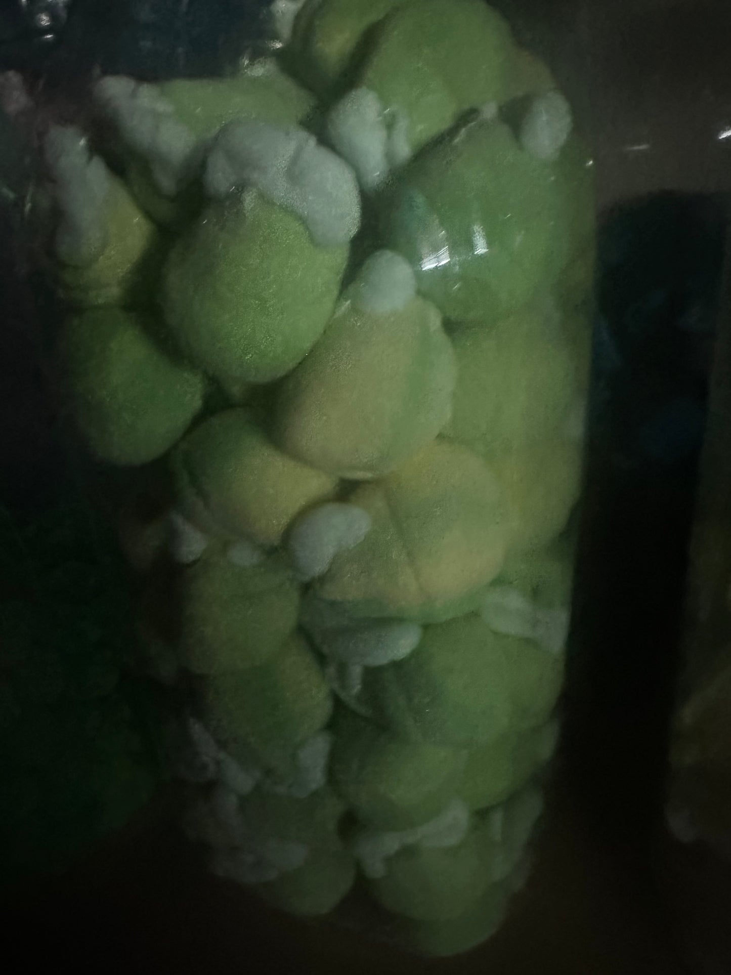 Christmas Marshmallows